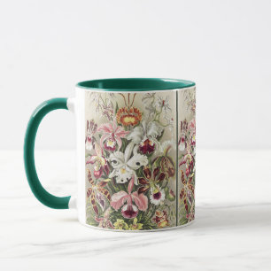 Vintage Ernst Haeckel Orchideen Botanischer Druck Tasse