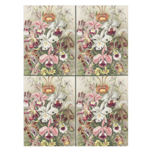 Vintage Ernst Haeckel Orchideen Botanischer Druck Tischdecke