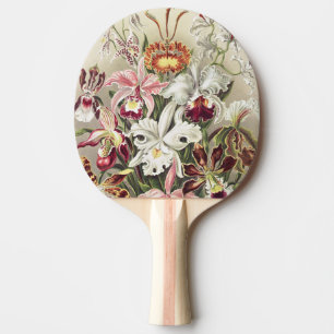 Vintage Ernst Haeckel Orchideen Botanischer Druck Tischtennis Schläger