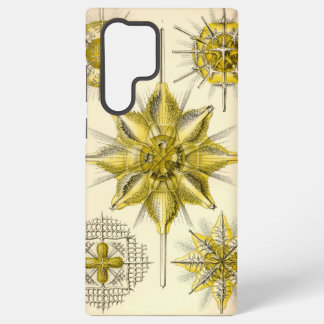 Vintage Ernst Haeckel Samsung Galaxy Hülle