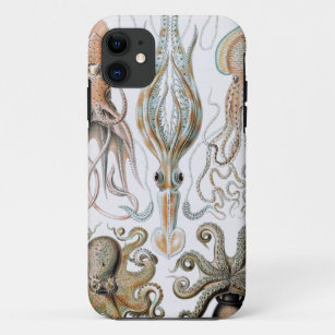 Vintage Ernst Haeckel-Tintenfisch und Octopus-Post Case-Mate iPhone Hülle