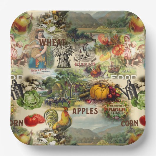 Vintage Ernte Pappteller (Vorderseite)