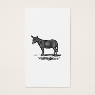 Vintage Esel-Illustration - Esel 1800's
