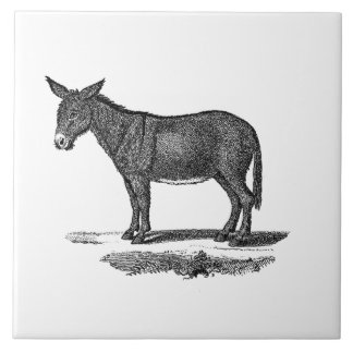 Vintage Esel-Illustration - Esel 1800's Fliese