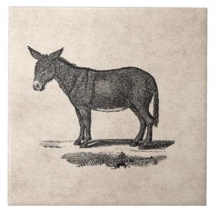Vintage-Esel-Illustration - Esel aus dem 19. Jahrh Fliese