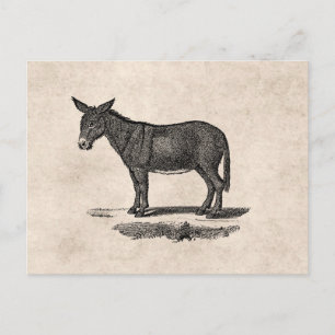 Vintage-Esel-Illustration - Esel aus dem 19. Jahrh Postkarte