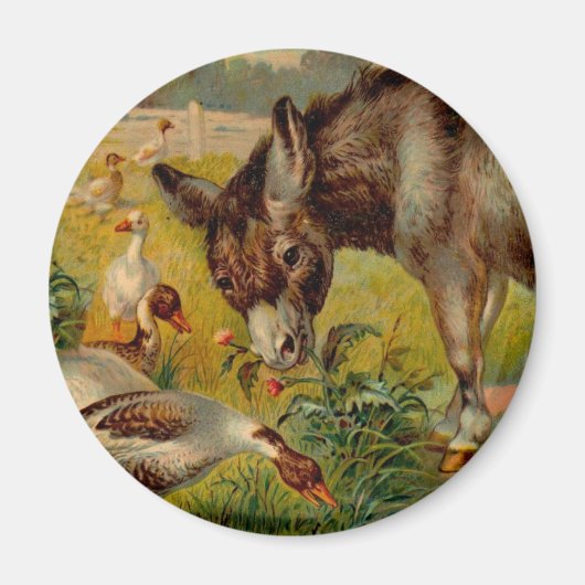 Vintage Esel mit Gänsen Magnet (Vorne)
