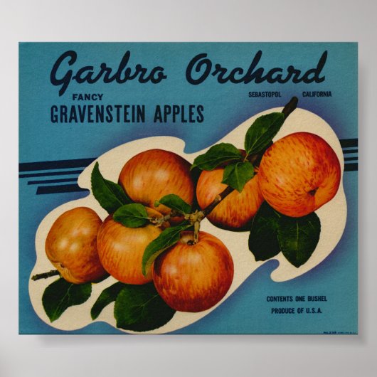 Vintage Etiketten für alte Fruchtkästen von Apple Poster (Vorne)
