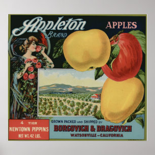 Vintage Etiketten für alte Fruchtkästen von Apple Poster