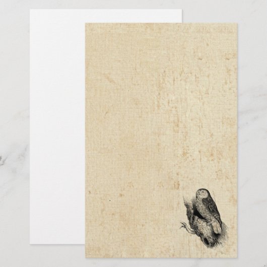 Vintage Eule Briefpapier (Vorne/Hinten)