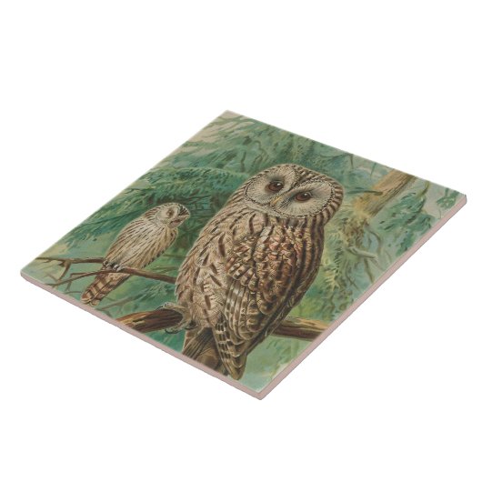 Vintage Eule Fliese (Seite)