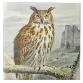 Vintage Eule Fliese (Vorderseite)