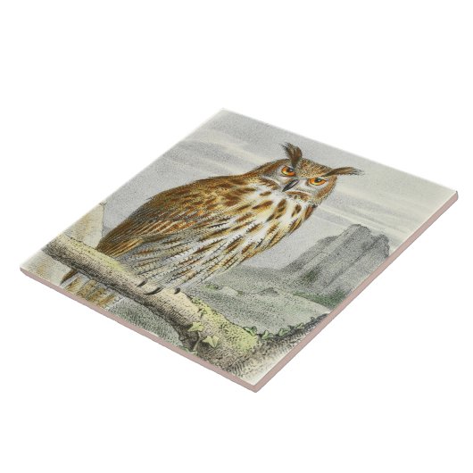 Vintage Eule Fliese (Seite)