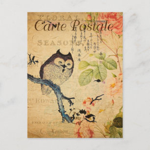 Vintage Eule Floral Blumen Französisch Cartle Post Postkarte