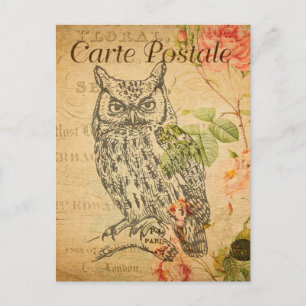 Vintage Eule Florale Blumen Französisch Cartle Pos Postkarte