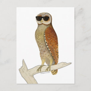 Vintage Eule mit Sonnenbrille Postkarte