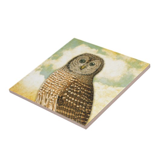 Vintage Eule mit Wolken Fliese (Seite)