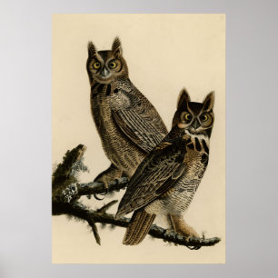 Vintage Eule Poster