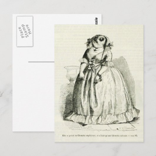 Vintage Eule Postkarte (Vorne/Hinten)