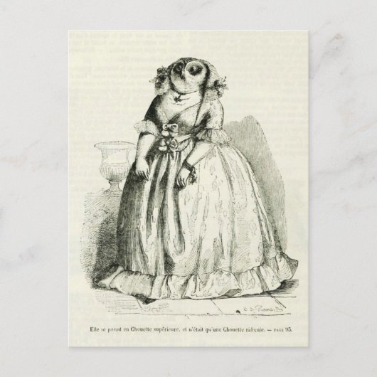 Vintage Eule Postkarte (Vorderseite)