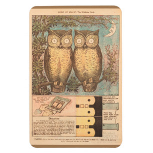 Vintage Eule süße Herbstbastelarbeit Kinder blau b Magnet