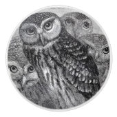 Vintage Eulenschwarzweiss-kunst Keramikknauf (Vorderseite)