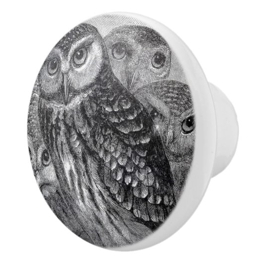 Vintage Eulenschwarzweiss-kunst Keramikknauf (Rechts)