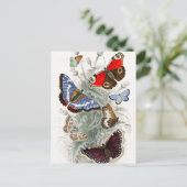 Vintage europäische Schmetterlinge Postkarte (Stehend Vorderseite)