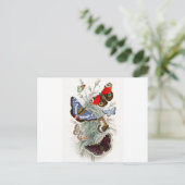 Vintage europäische Schmetterlinge Postkarte (Stehend Vorderseite)