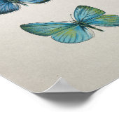 Vintage europäische Schmetterlingskunst Poster (Ecke)