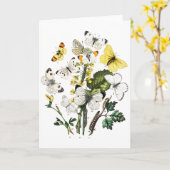 Vintage European Butterflies Karte (Gelbe Blume)