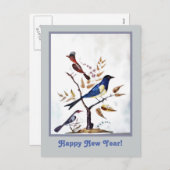 Vintage exotische Vogelmalerei Feiertagspostkarte (Vorne/Hinten)