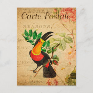 Vintage exotischer tropischer Tukan-Vogel Blumen f Postkarte