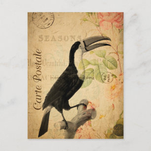 Vintage exotischer tropischer Tukan-Vogel Blumen f Postkarte