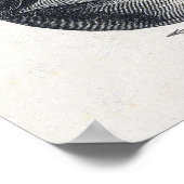 Vintage Eye Illustration Poster (Ecke)