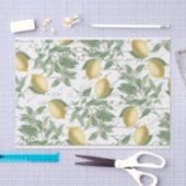 Vintage Faded Lemon Branch Französisch Script Frui Seidenpapier (Handwerk)