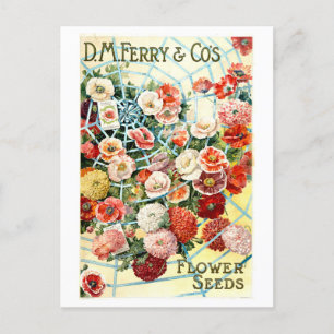 Vintage-Fähr-Blumen-Samen-Werbung Postkarte