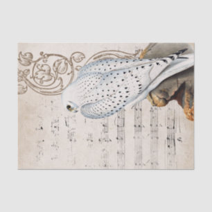 Vintage-Falke-Vogel-Musik-Schriftrolle-Reben-Perga Seidenpapier
