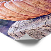 Vintage Fall Kürbis Herbstfarben Aquarell Poster (Ecke)