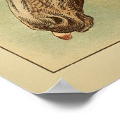 Vintage Farbabdeckung für Pferde Poster (Ecke)