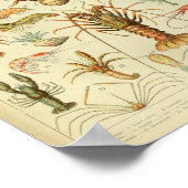 Vintage Farbe des Meeres Poster (Ecke)