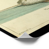 Vintage Farbe Narwhal Whale Druck Poster (Ecke)