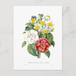 vintage farbenfrohe botanische Blumen von Redoute. Postkarte