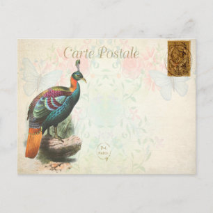 Vintage Farbenfrohe Exotic Bird Floral Postkarte