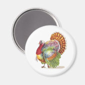 Vintage Farbige Türkei Magnet (Vorderseite/Rückseite)