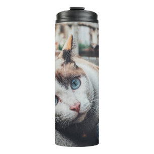 Vintage Farbkatze Thermosbecher