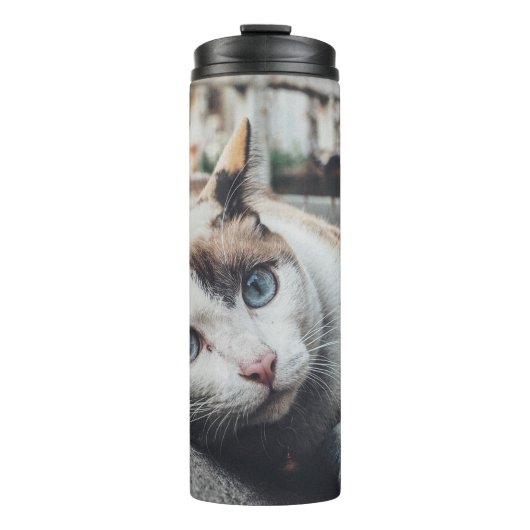 Vintage Farbkatze Thermosbecher (Vorderseite)