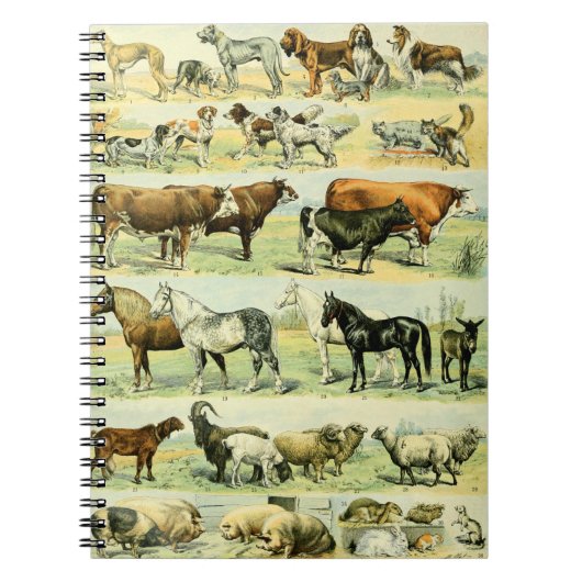 Vintage Farm Animal Print Notizblock (Vorderseite)