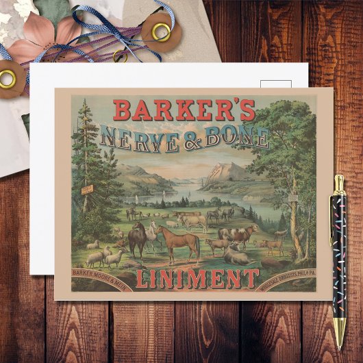 Vintage Farm Animal Typography Ephemerad Postkarte
