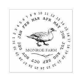 Vintage Farm elegante Duck Egg Carton Briefmarke Gummistempel